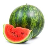Wassermelone - kernarm