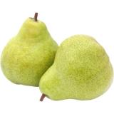 Birne Guyot -NEUE ERNTE-