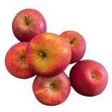 Apfel Elstar