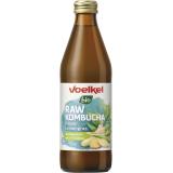RAW Kombucha Ingwer Lemongras kühlfrisch