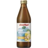 RAW Wasserkefir Zitrone Ingwer