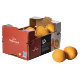 Orangen Navelina ´4-6