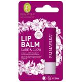 Lip Balm Care & Glow