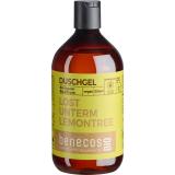Duschgel Ingwer & Zitrone - Lost unterm Leomontree