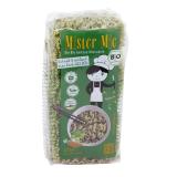 Misses & Mister Mie Gemüse Mie-Nudeln, 250 gr Pack