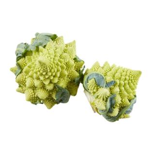 Blumenkohl-Romanesco