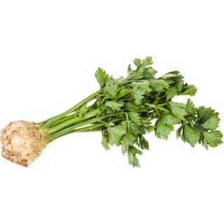Sellerieknolle mit Grün -NEUE ERNTE-