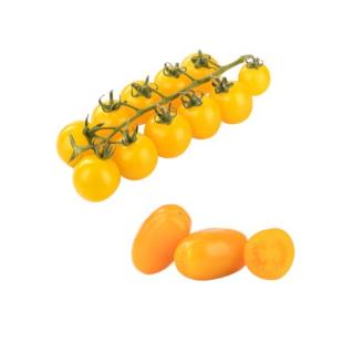 Cherrytomaten gelb