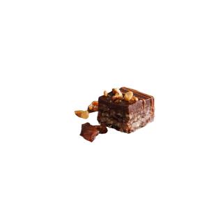 Oriental Hazelnut