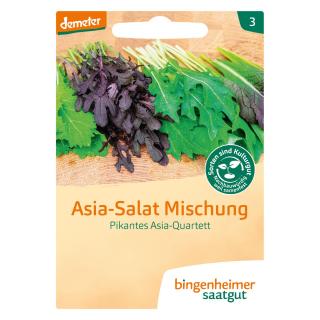 Asia-Salat-Mischung Pikantes Asia-Quartett