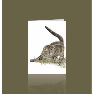 Grußkarte Kater "Fritz"