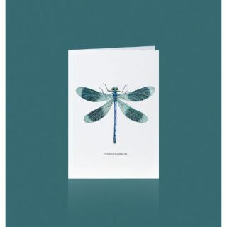 Grußkarte LIBELLE