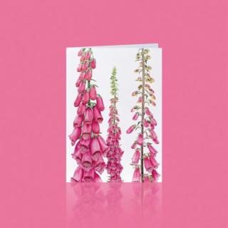 Grußkarte FINGERHUT