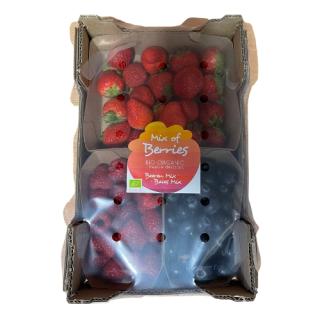 Beerenmischkiste 500g