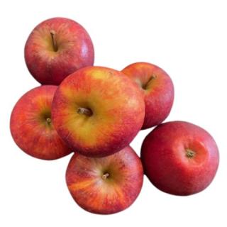 Apfel Elstar
